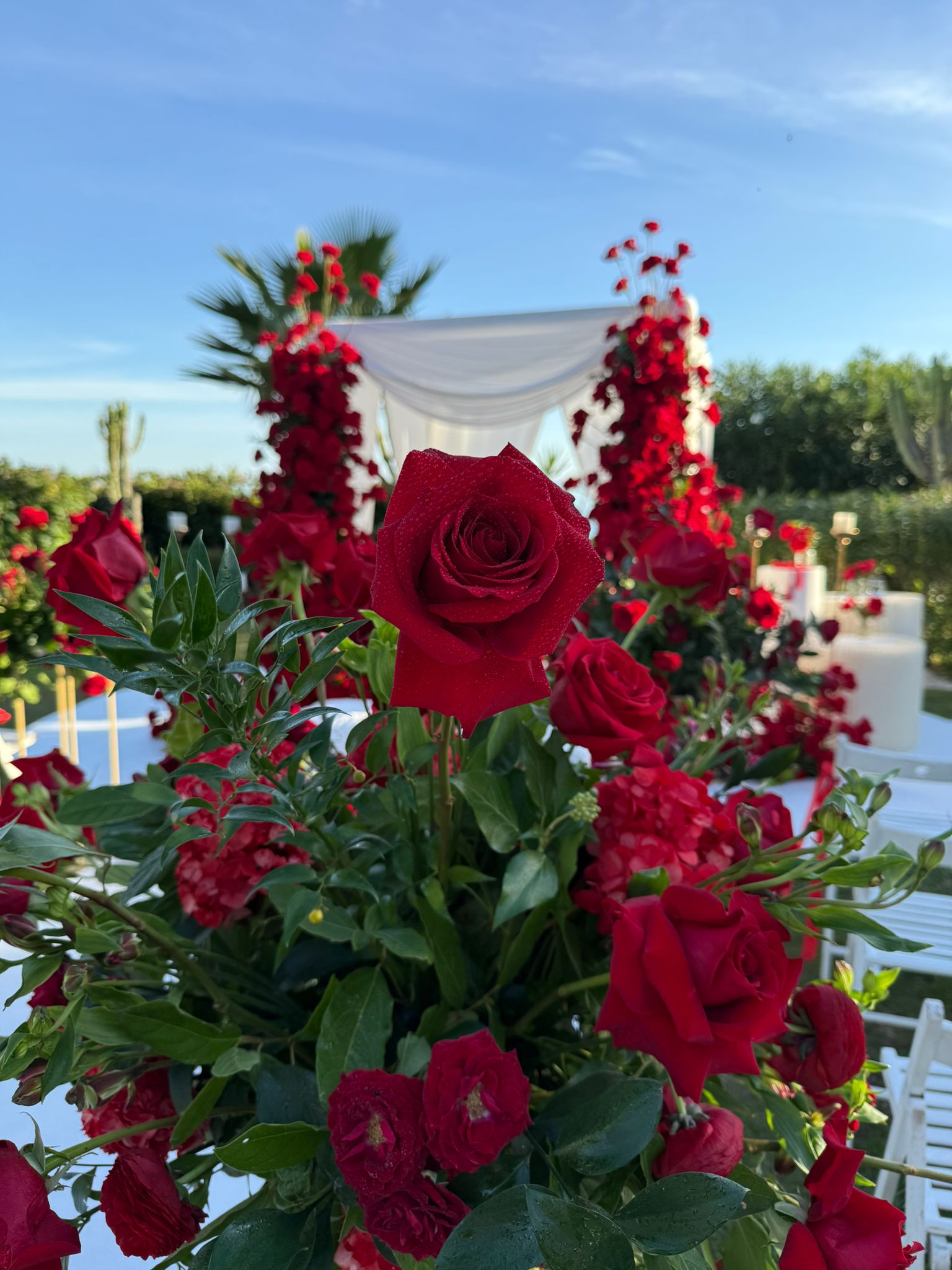 Boda elegante